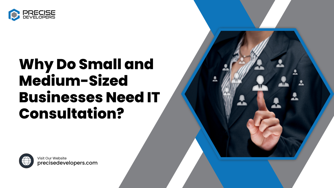 Why Do Small and Medium-Sized Businesses Need IT Consultation?